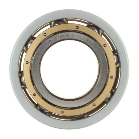 SKF INSOCOAT Bearings