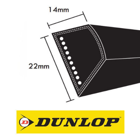 Dunlop C Section V Belts 22x14mm