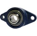 Imperial 2 Bolt Hole Flange Bearings - Budget Brand