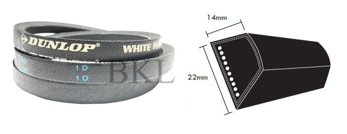 C100 Dunlop White C Section V Belt