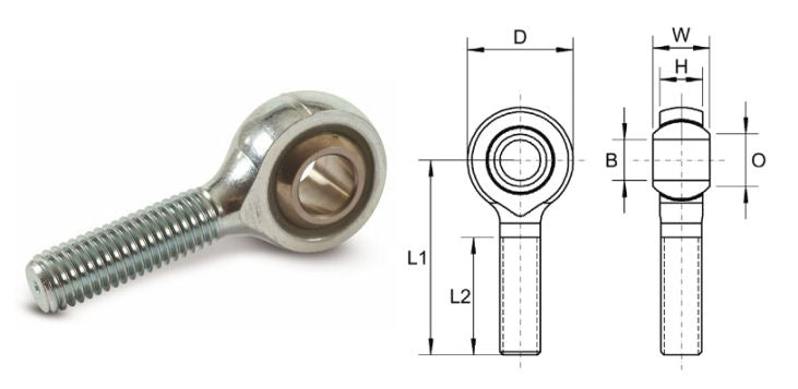 MP-08-SS Dunlop Right Hand Imperial Stainless Steel / Nylon Male Rod End 1/2 Thread, 1/2 inch Bore