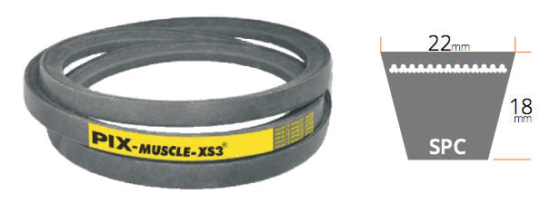 SPC5000 PIX SPC Section Muscle XS3 V Belt, 22mm Top Width, 18mm Thickness, Inside Length 4917mm