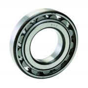 LRJ1J RHP Cylindrical Roller Bearing 1x2.1/4x5/8 inch