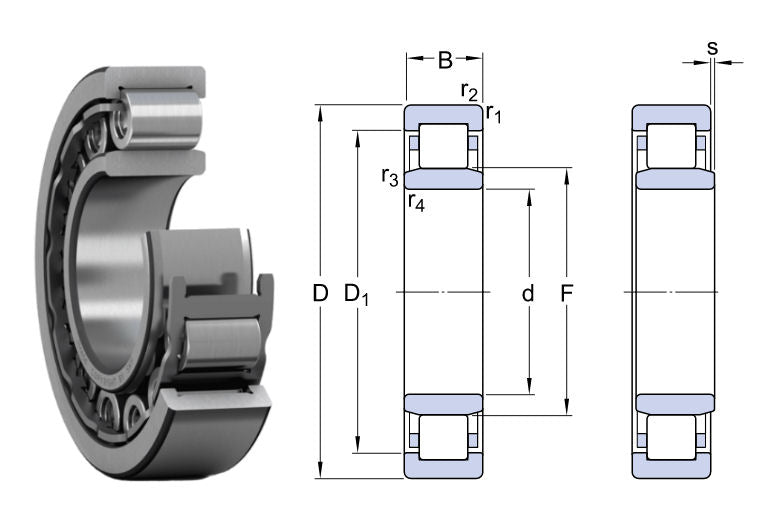 NU1005 SKF Single Row Cylindrical Roller Bearing 25x47x12mm