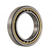 NU1008ML SKF Single Row Cylindrical Roller Bearing 40x68x15mm