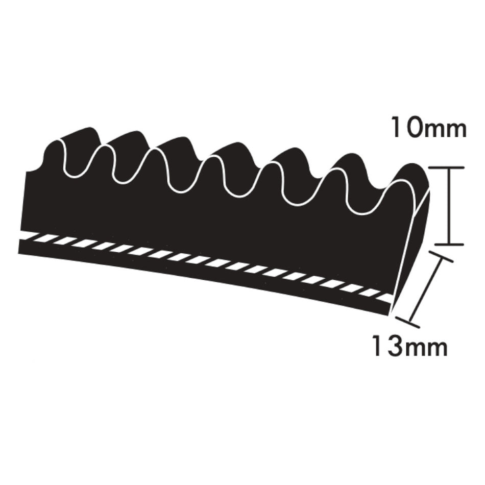 XPA1000 Dunlop XPA Section V Belt, 13mm Top Width, 10mm Thickness, 1000mm Pitch Length