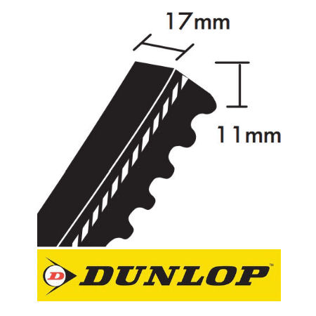 Dunlop BX Cogged Wedge Belts 17x11mm photo